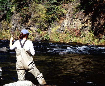 truchas en asturias,pesca truchas,asturias mosca,pesca a mosca pesca mosca